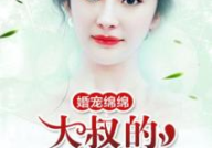 婚宠绵绵:老公,老公的宠爱之旅