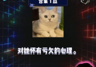 娱乐八卦在线吃瓜视频在线观看,跟随吃瓜视频，畅游八卦海洋
