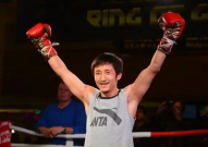 娱乐圈拳手,跨界拳手的风采与传奇
