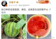 今年娱乐的吃瓜事件,2023年度娱乐圈爆笑吃瓜大盘点