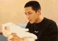 娱乐圈吃瓜爆料王安宇,娱乐圈幕后真相大曝光