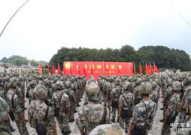 42集团军,历史沿革与现代化建设概览