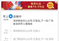圆通速递 查询,多元化发展，引领快递物流行业新篇章